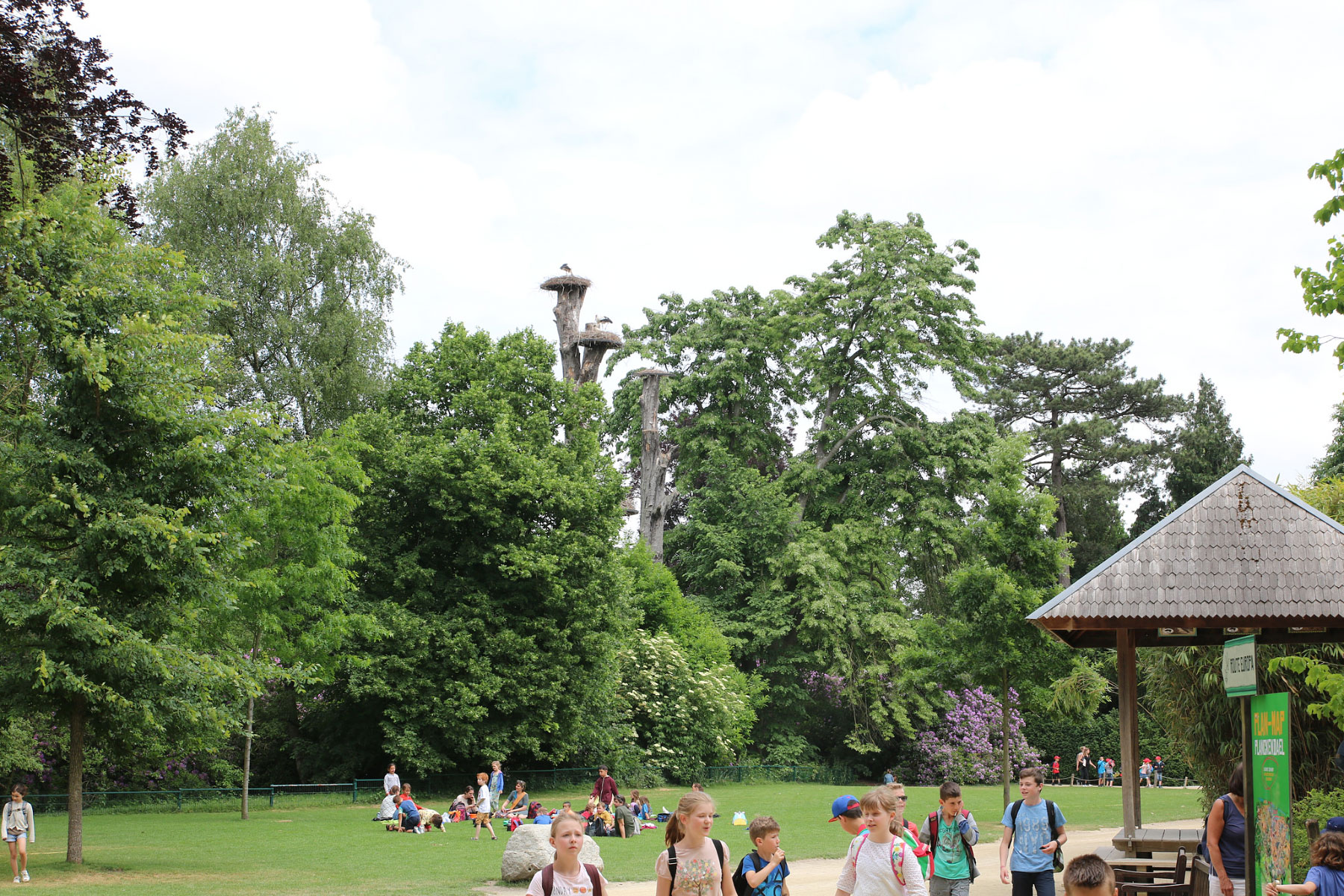 Dierenpark Planckendael